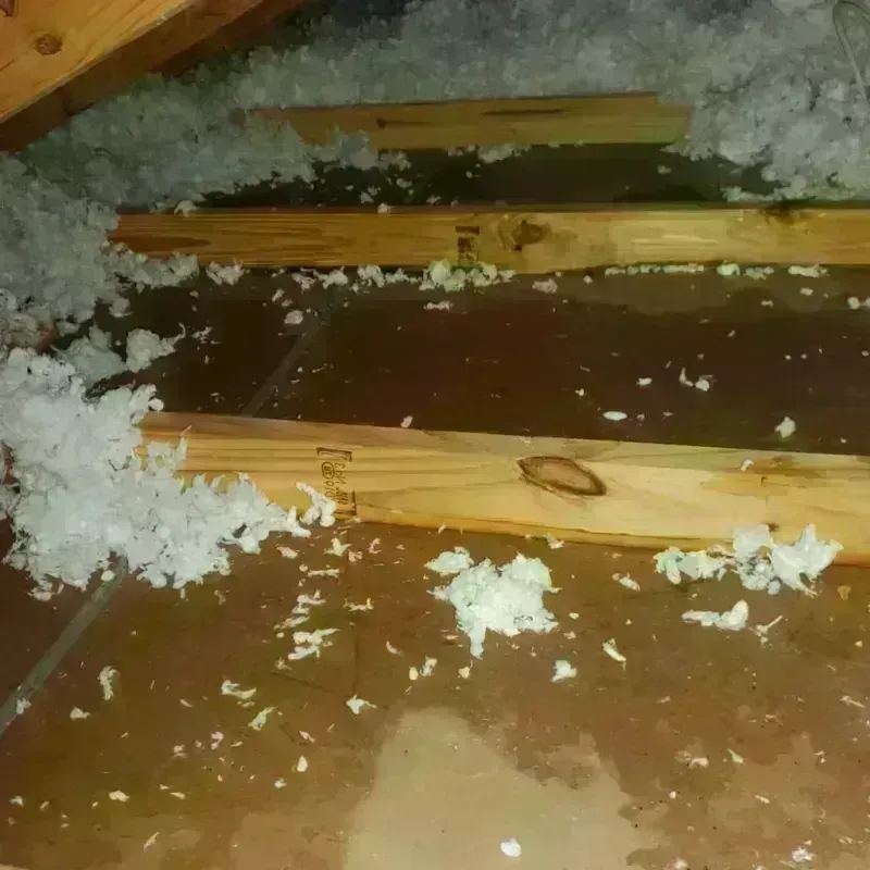 Attic Water Damage in Crescent, OK