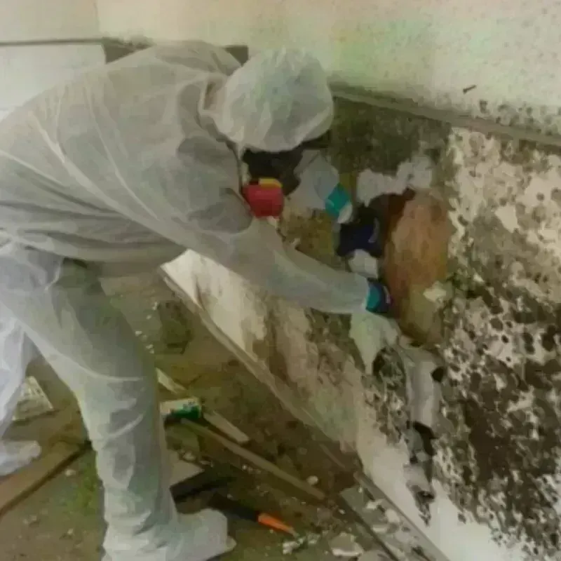 Mold Remediation and Removal in Crescent, OK