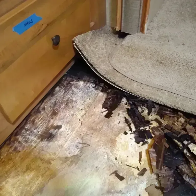 Best Wood Floor Water Damage Service in Crescent, OK